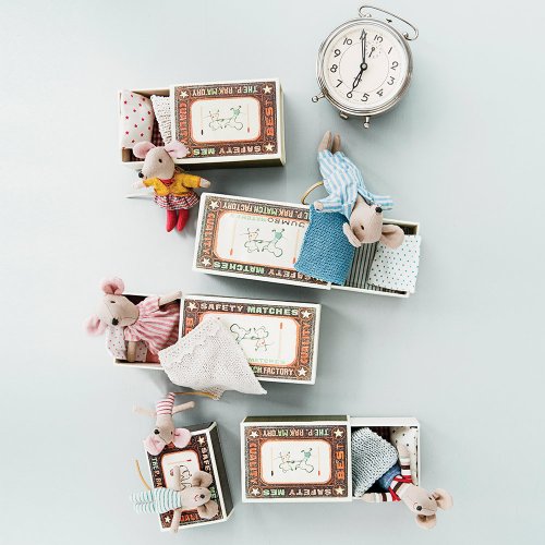 Petite Souris Bébé Garçon dans sa boîte