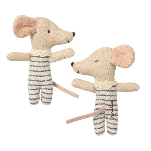 Petite Souris Bébé Garçon dans sa boîte