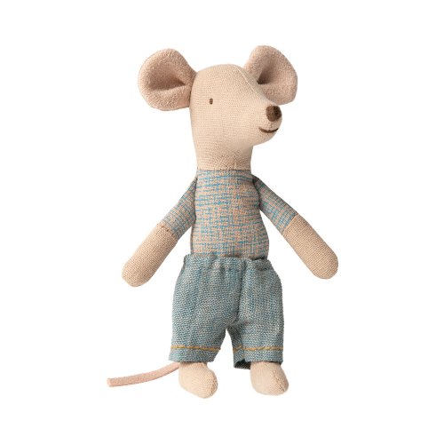 Souris Petit Frère dans sa boîte