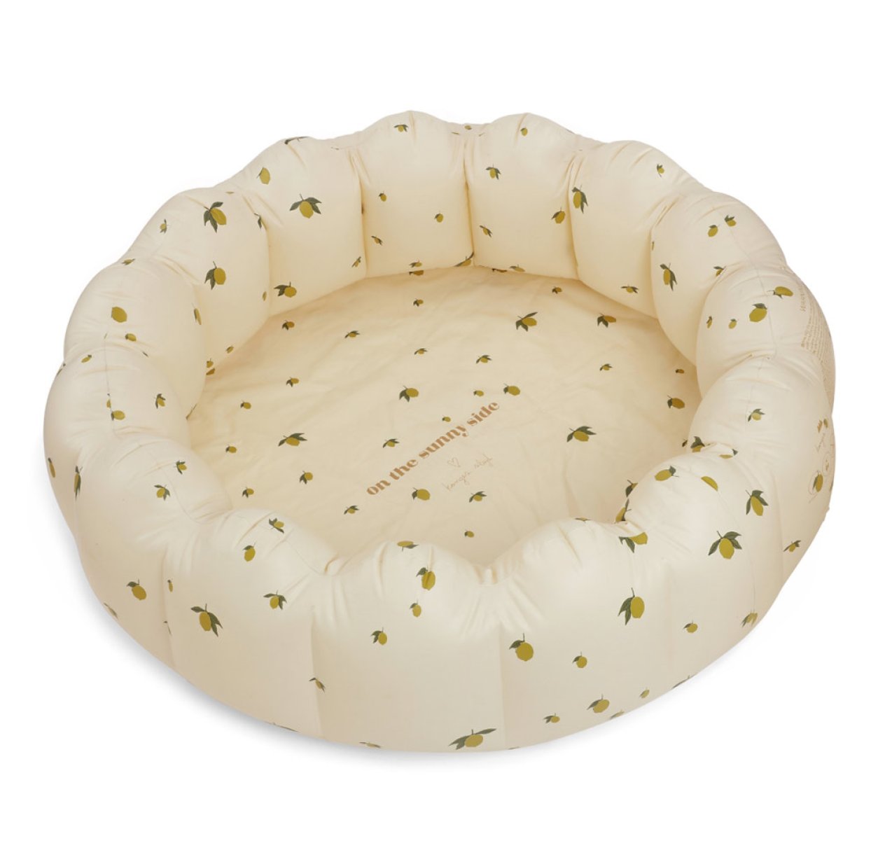 Grande Piscine Gonflable Citrons