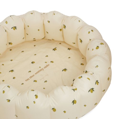 Grande Piscine Gonflable Citrons