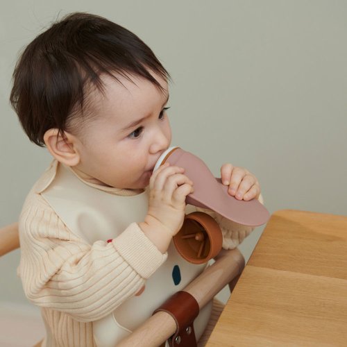 Set de 2 Gourdes à Compote - Rose Mix