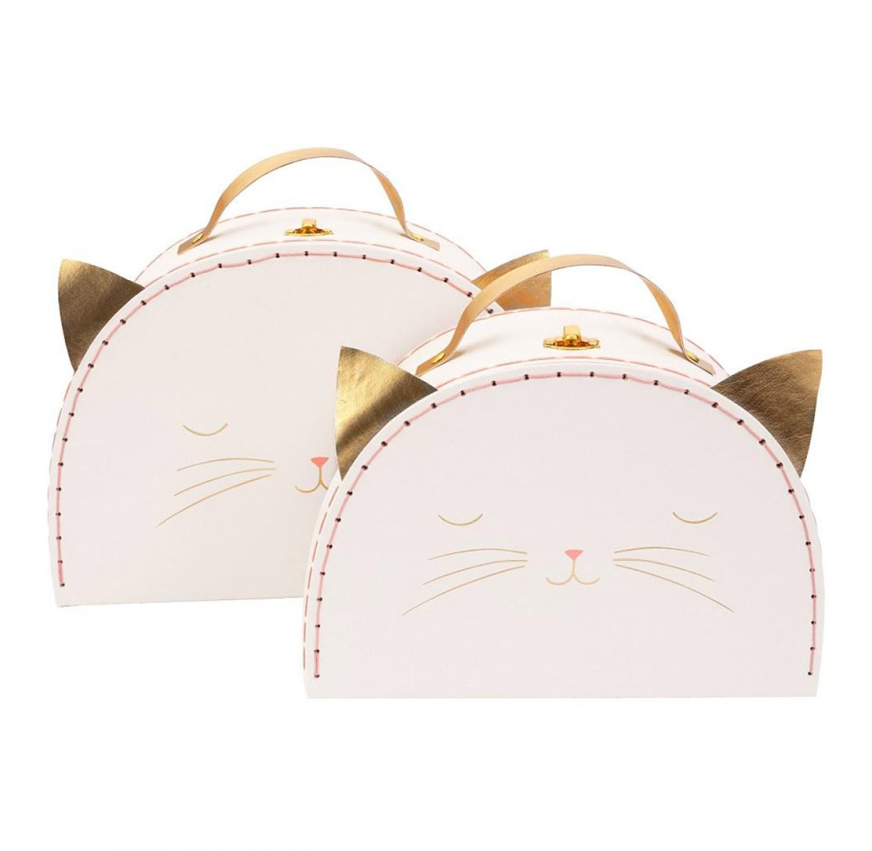 2 valises Chat