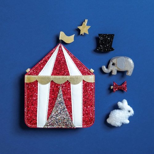 Set de 3 Barrettes Clips Cirque