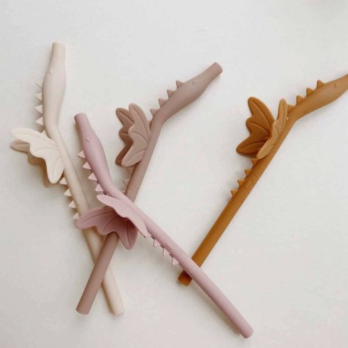 Set de 4 pailles Dragon - Rose mix