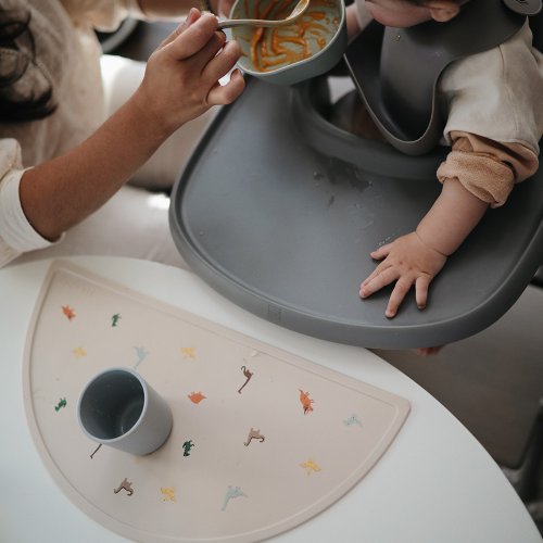 Set de Table en Silicone Dinosaures