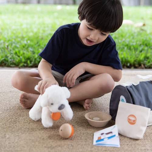 Valise de Voyage pour Animaux