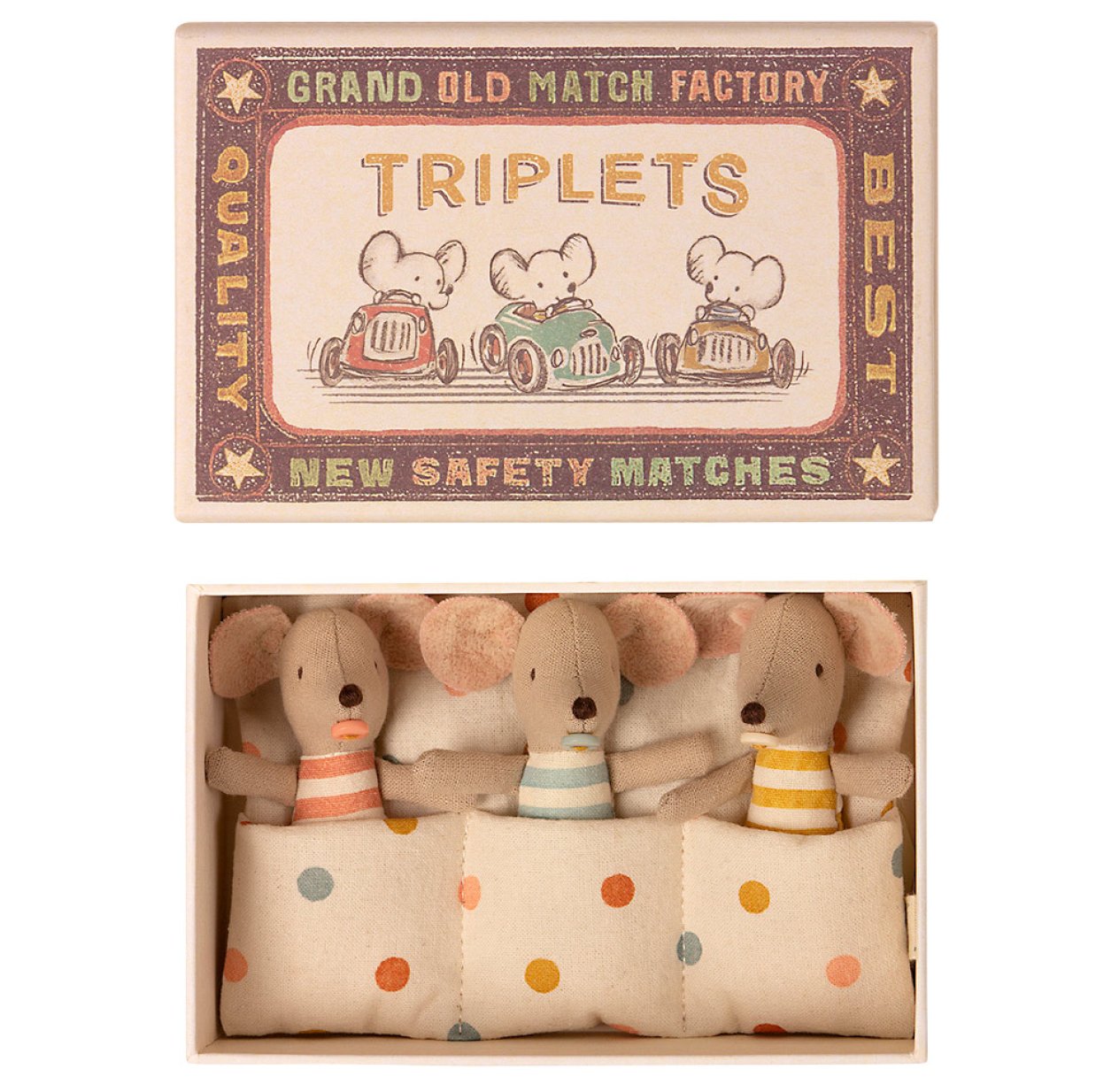 Petites Souris Bébés Triplés dans leur boîte