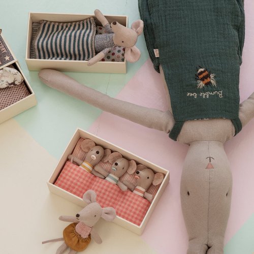 Petites Souris Bébés Triplés dans leur boîte