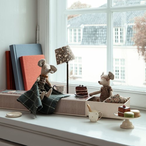 Souris Grands-Parents dans leur boîte