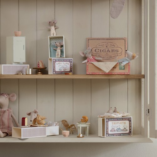 Petites Souris Bébés Jumeaux dans leur boîte