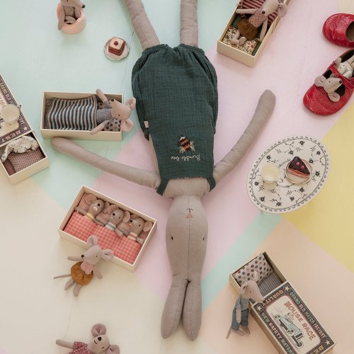 Souris Petit Frère dans sa boîte