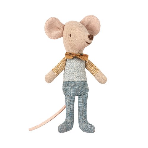 Souris Petit Frère dans sa boîte