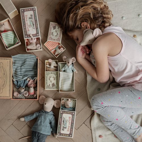 Souris Petite Soeur dans sa boîte