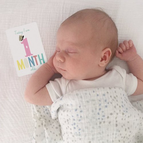 Stickers Baby Cards - Anglais