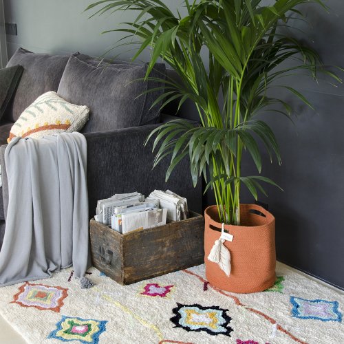 Tapis Kaarol - Multicolore