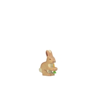 Lapin avec sa carotte