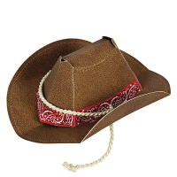 8 chapeaux de Cowboy