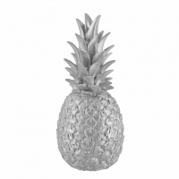 Lampe veilleuse Ananas - Argent